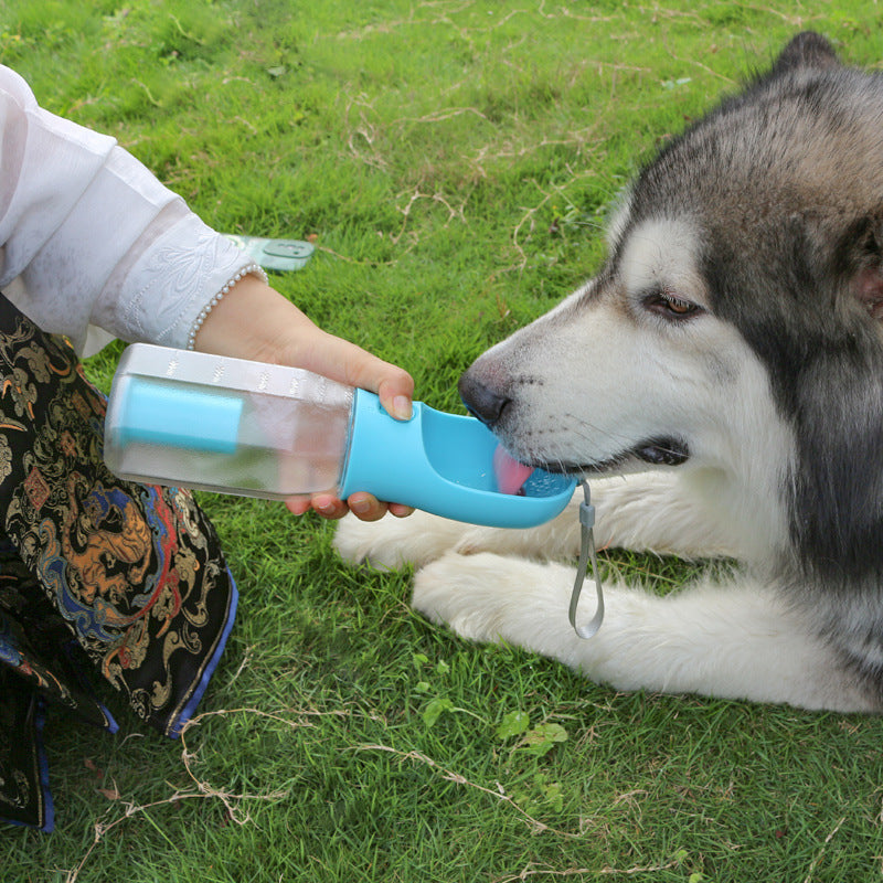 Hydration Revolution: 3-in-1 Bottle for Every Lifestyle
